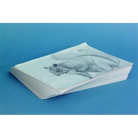 School Smart School Smart 085596 Sax Plain Newsprint Newspaper; 30 Lbs. - 9 x 12 In. - White; Pack Of 500 85596